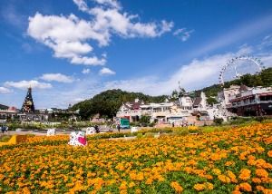 포시즌 가든 (5)