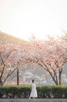 시흥_물왕호수 (4)