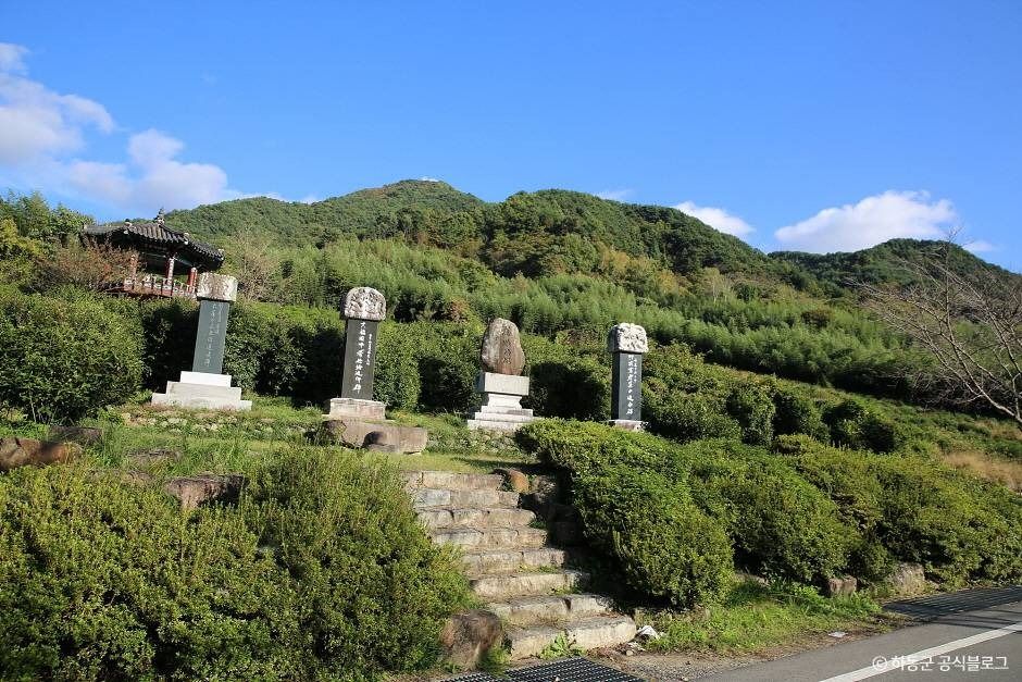 쌍계사차나무시배지