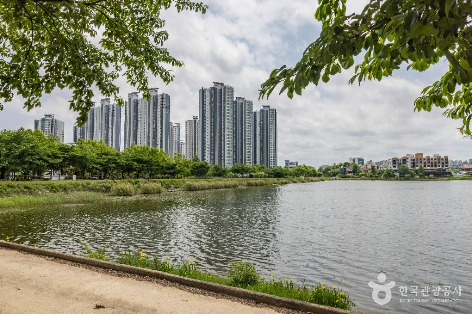 청주_오송호수공원 (8)