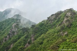 계룡산국립공원 (7)