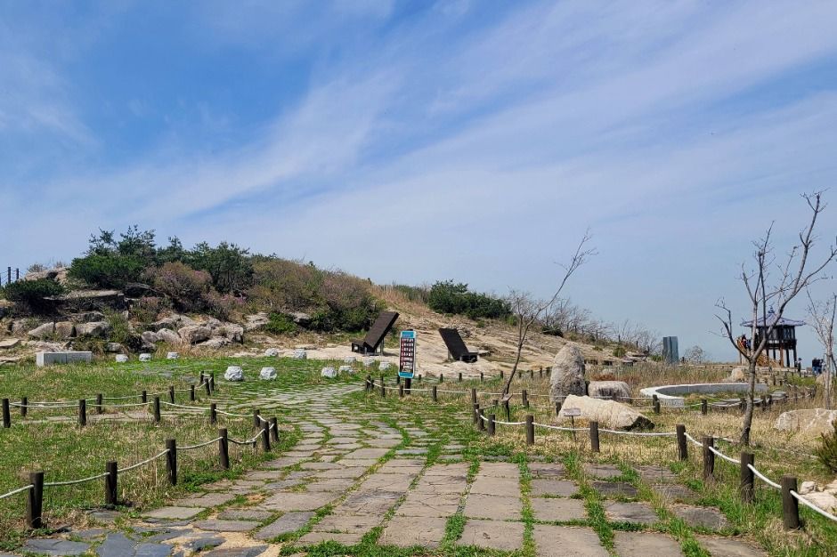 팔공산하늘정원