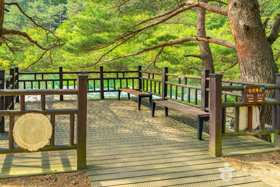 신선계곡