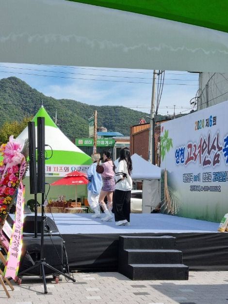 연천고려인삼축제