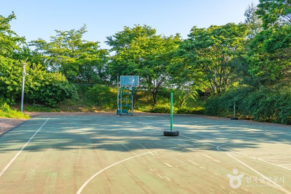 서탄금암체육공원