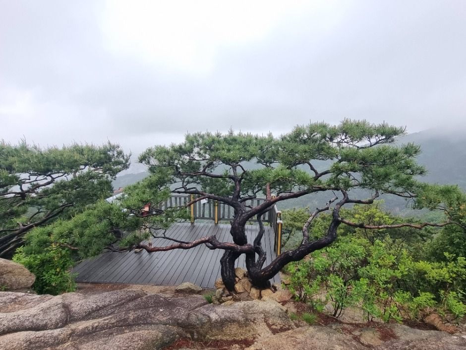 [서울둘레길 5코스] 아차산코스