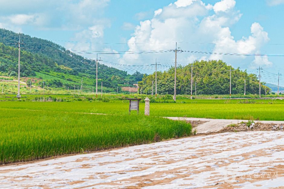 무안발산마을미륵당산