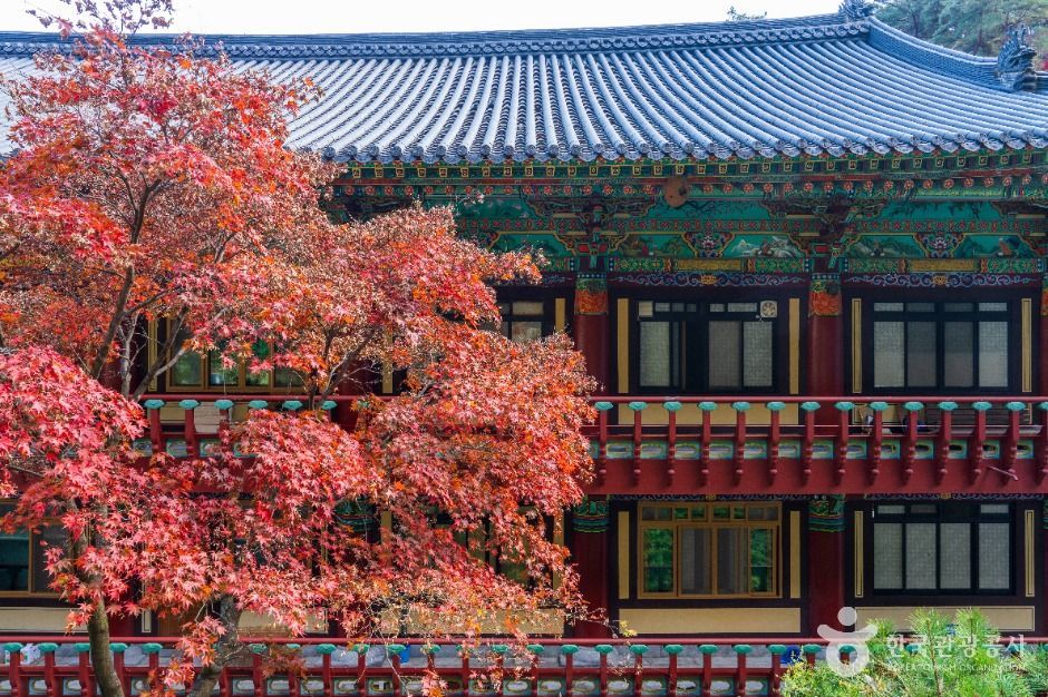 thumbnail-구인사(단양)-12