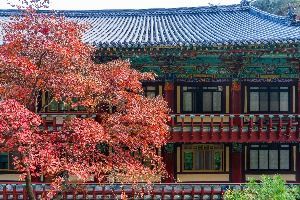 단양 구인사 (3) 