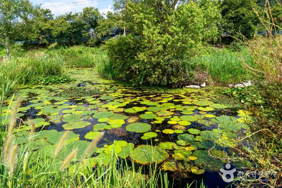 탄천민물고기습지생태원
