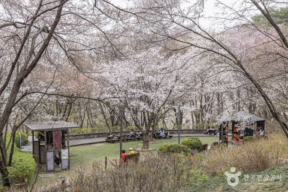연희숲속쉼터