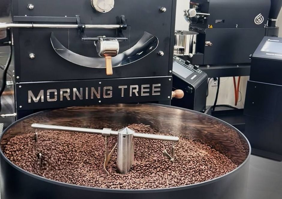 모닝트리