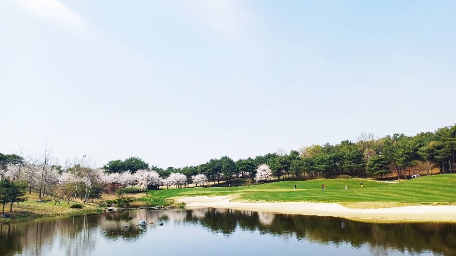 마이다스레이크 이천 골프앤리조트