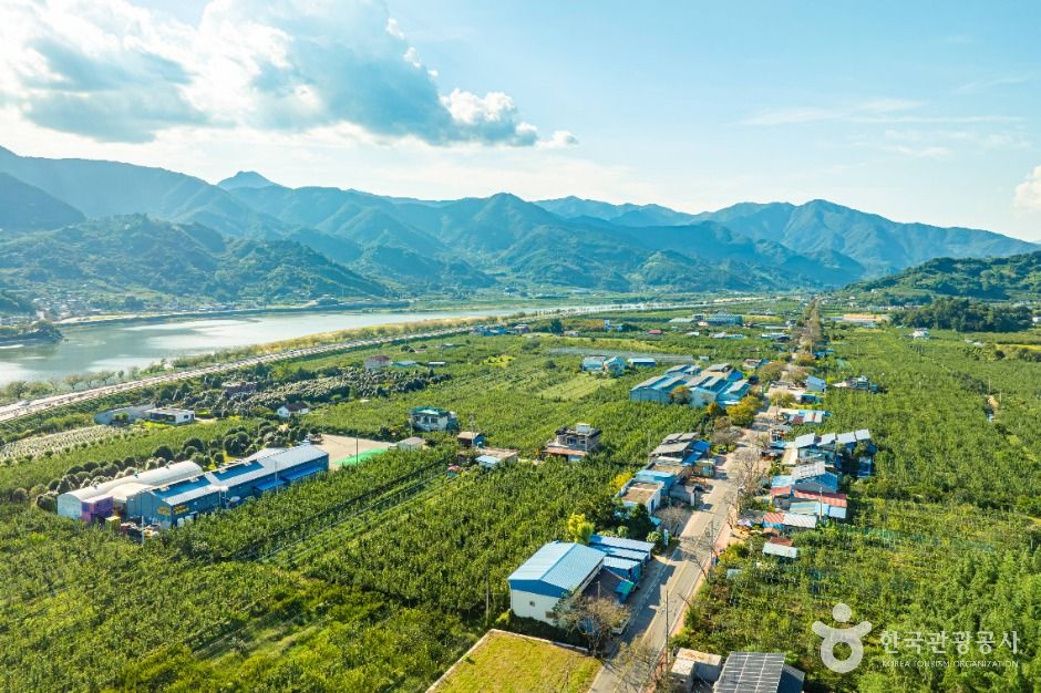 하동명품배거리