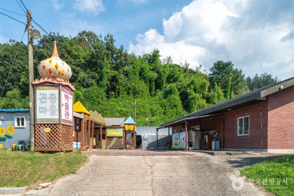 원주_원주곤충마을박물관 (5)