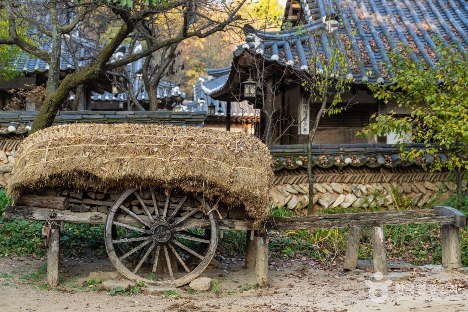 용인_한국민속촌 (5)