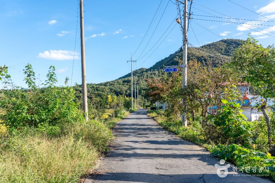 은골구기자마을