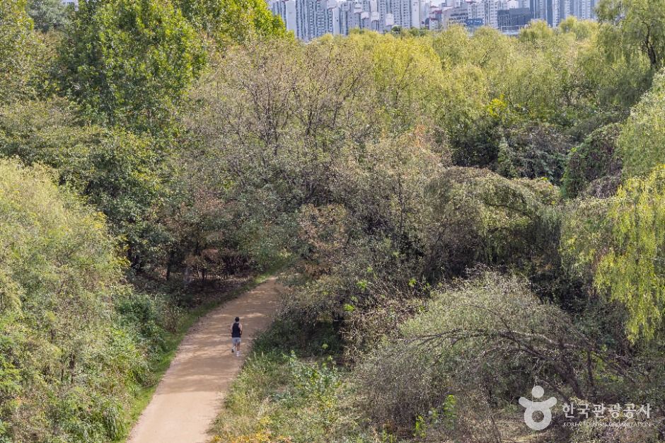 thumbnail-여의도샛강생태공원-0