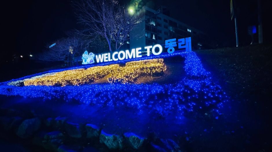 2025 온천천 빛 축제 3