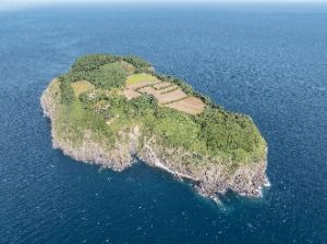 울릉_죽도(울릉) (3)