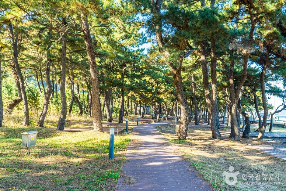 기성망양해수욕장