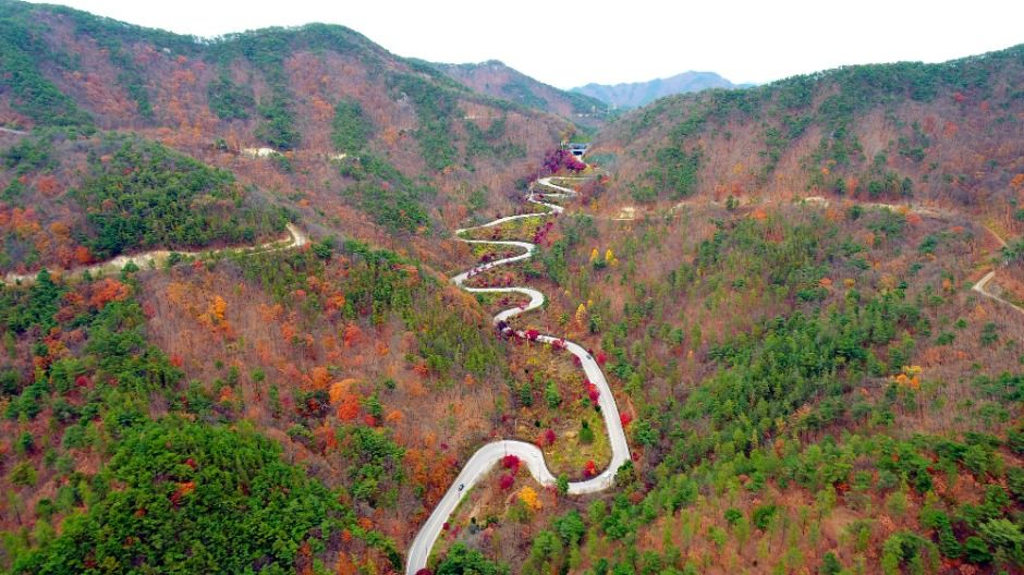 국립속리산말티재자연휴양림