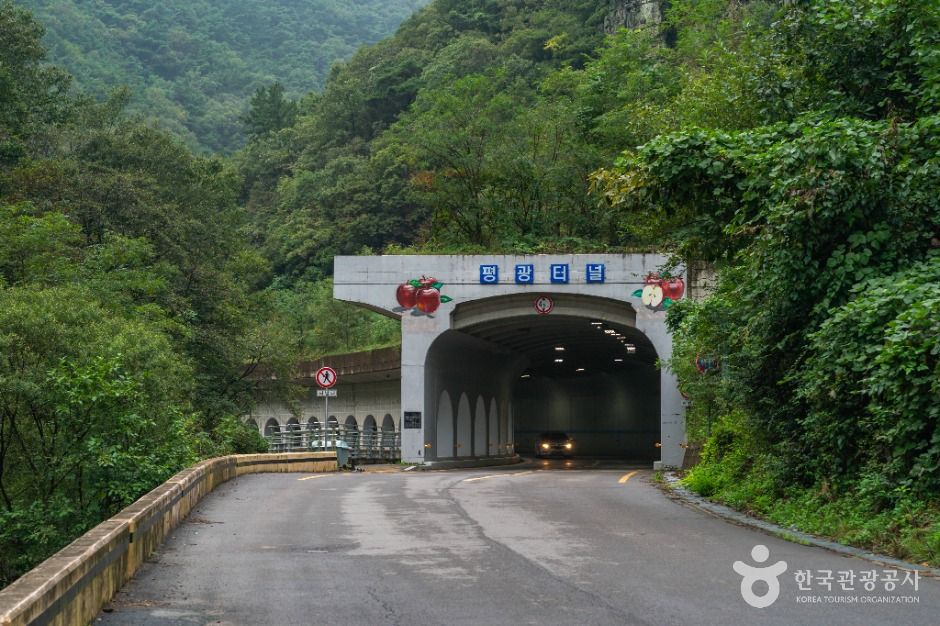 [대구올레 팔공산 4코스] 평광동 왕건길