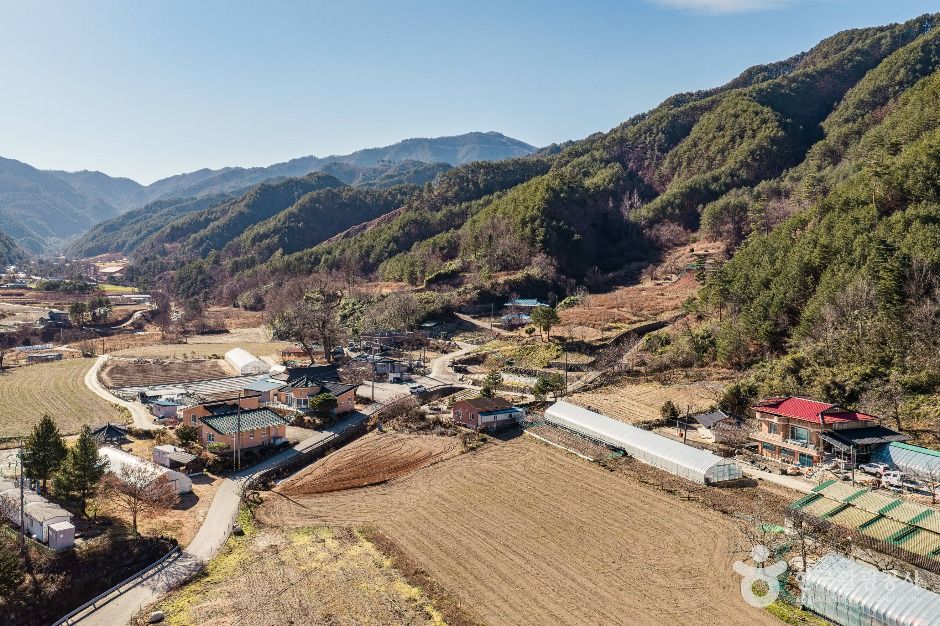 thumbnail-삼척 가시오가피마을-5