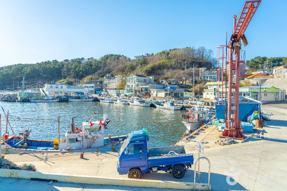 울진항