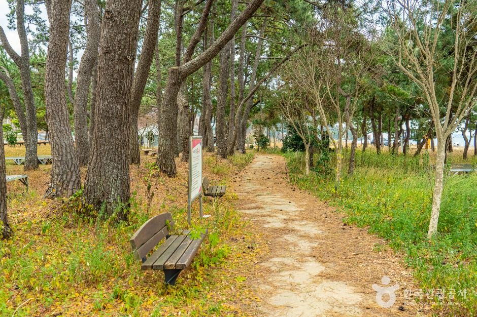 thumbnail-사구미해수욕장-5