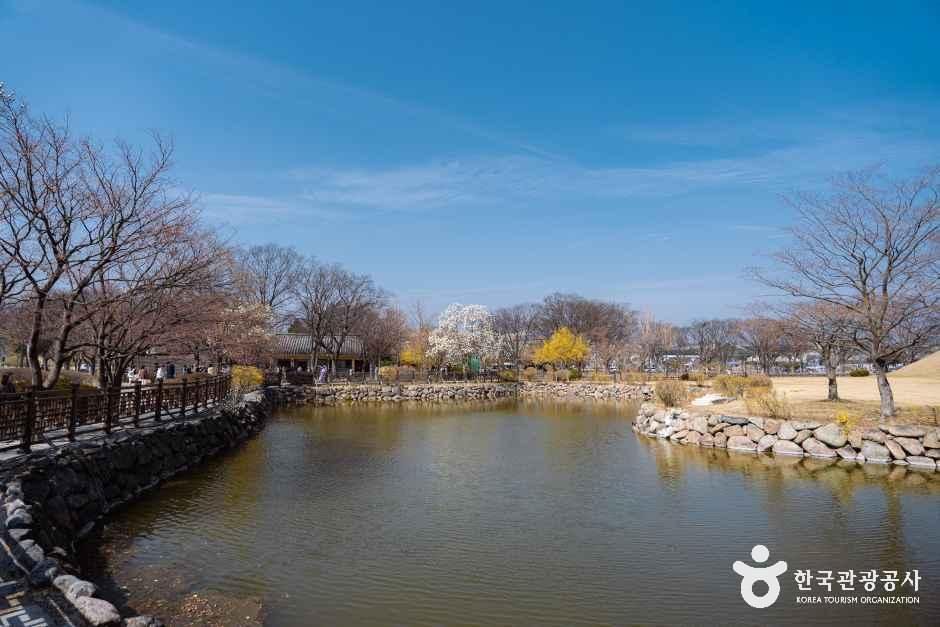 thumbnail-경주 대릉원 일원-17