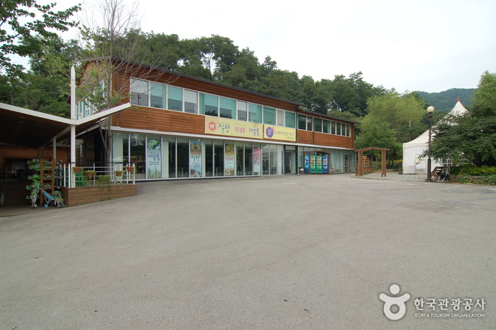 Hantaek Botanical Garden (한택식물원)