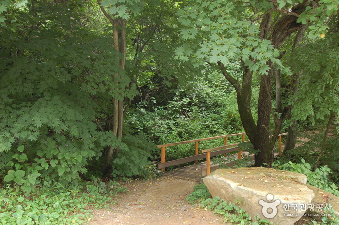 국립청태산자연휴양림 이미지