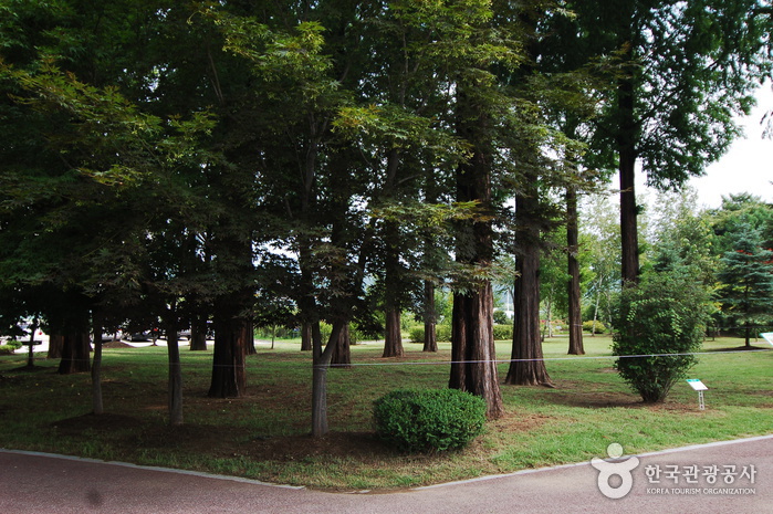 Gangwon-do Provincial Flower Garden (강원도립화목원)