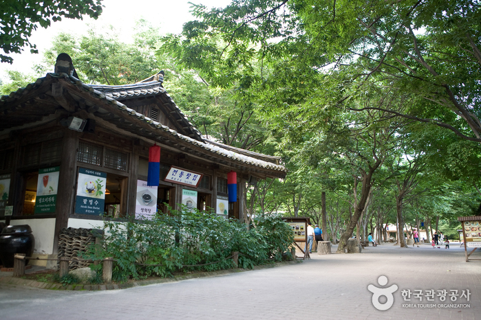 한국민속촌 사진12