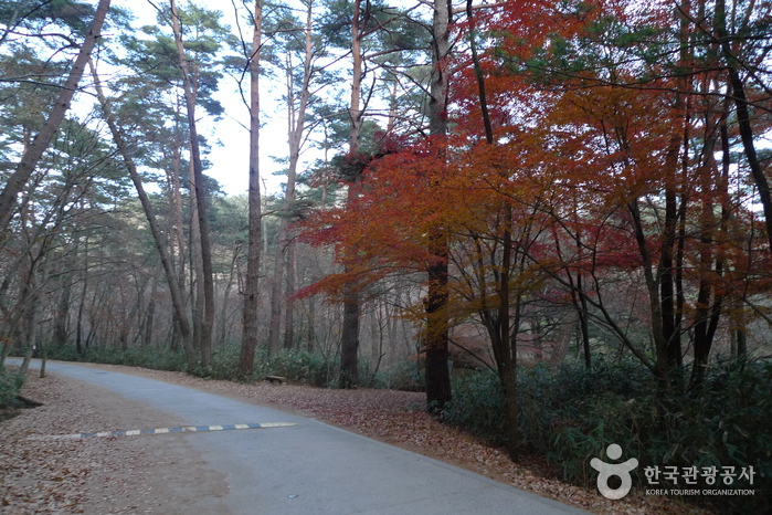 俗离山国立公园（忠北）속리산국립공원(충북)5