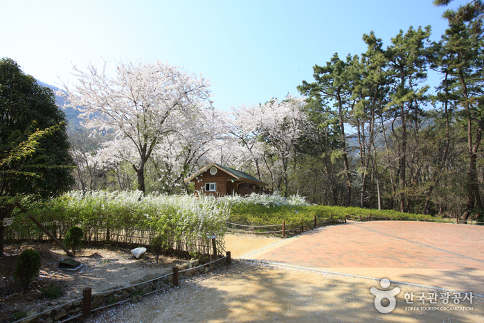 Jinhae NFRDI Environment Eco-Park (진해내수면 환경생태공원)