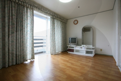 水安堡韓國公寓式飯店(한국콘도 수안보)