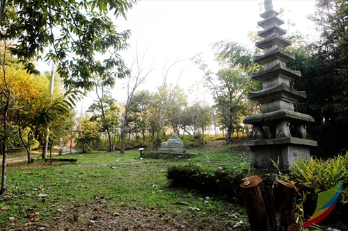 Borinara Hagwon Farm (보리나라 학원농장)