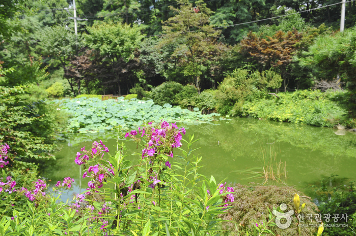 Hantaek Botanical Garden (한택식물원)