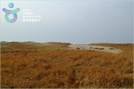 Sinduri Coastal Sand Dune (태안 신두리 해안사구)