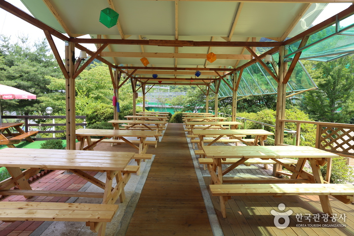 강촌유스호스텔3