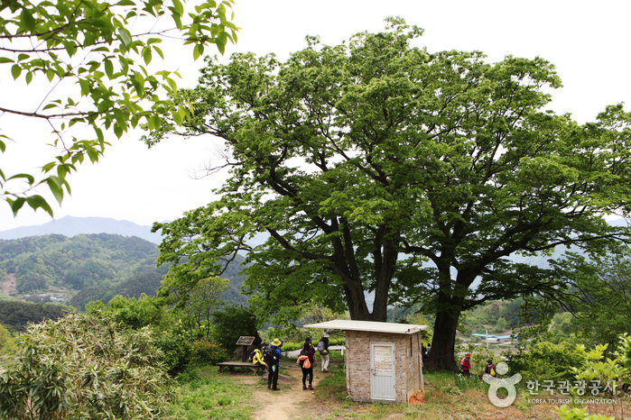 [Jirisan Trail Course] Inwol-Geumgye