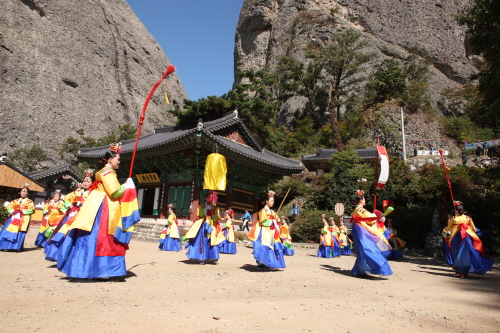 진안고원 홍삼축제· 마이문화제 2015