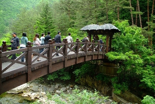 Daegeumgul Cave (대금굴)