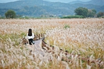 강원_양양_남대천04