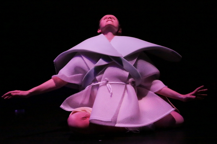 서울세계무용축제 20197