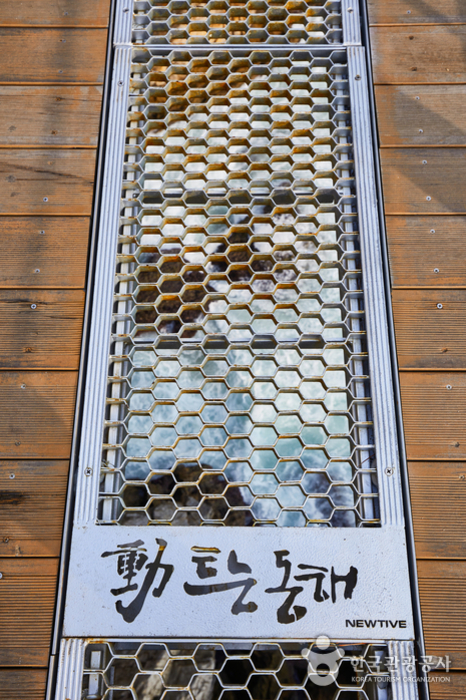 삼양라운드힐 (구, 대관령 삼양목장)1