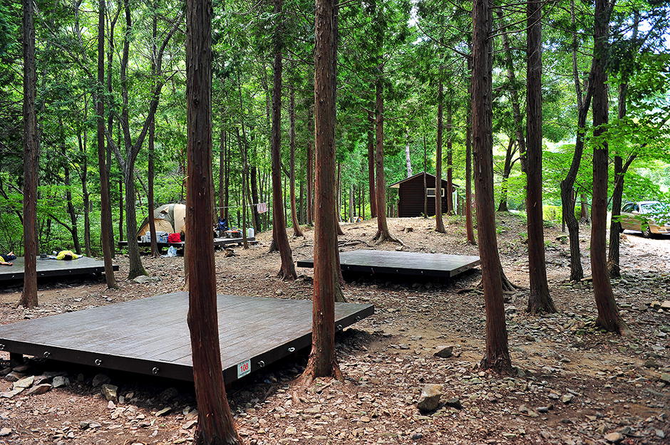 국립남해편백자연휴양림1