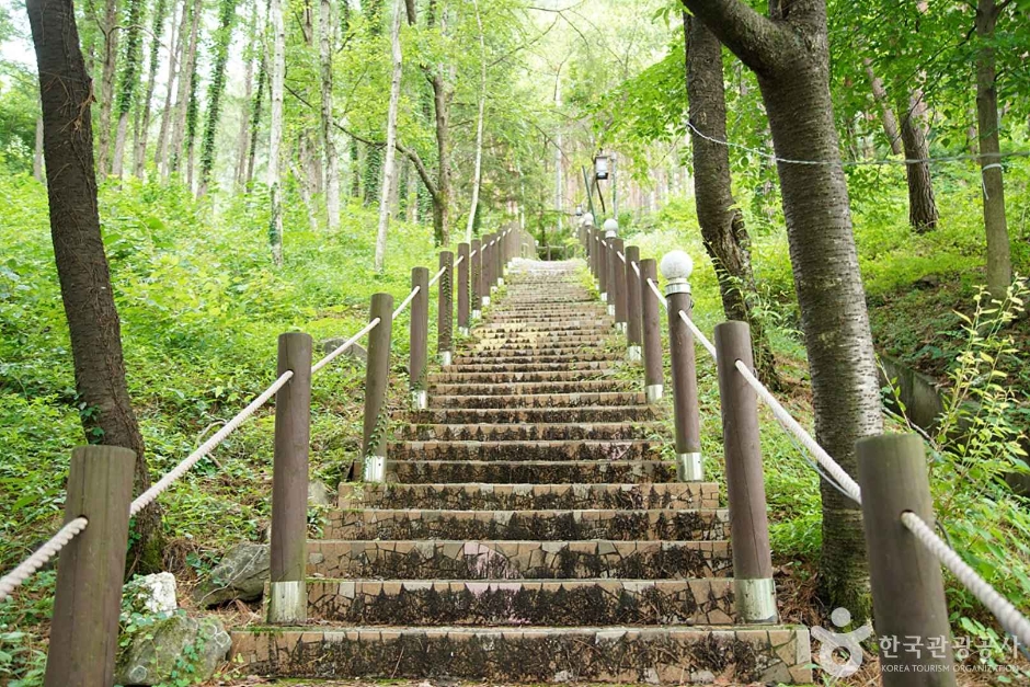 조양산(정선)